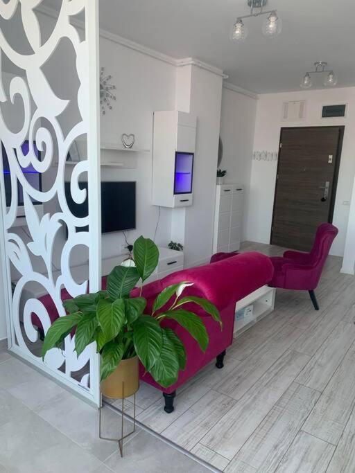 Cool Apartment Timişoara Eksteriør billede